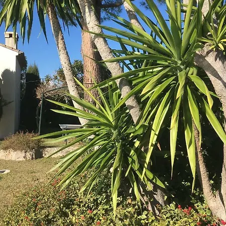 D'architecte Villa *